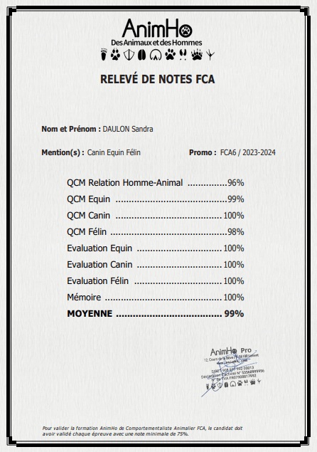 Relevé de notes AnimHo Sandra Daulon